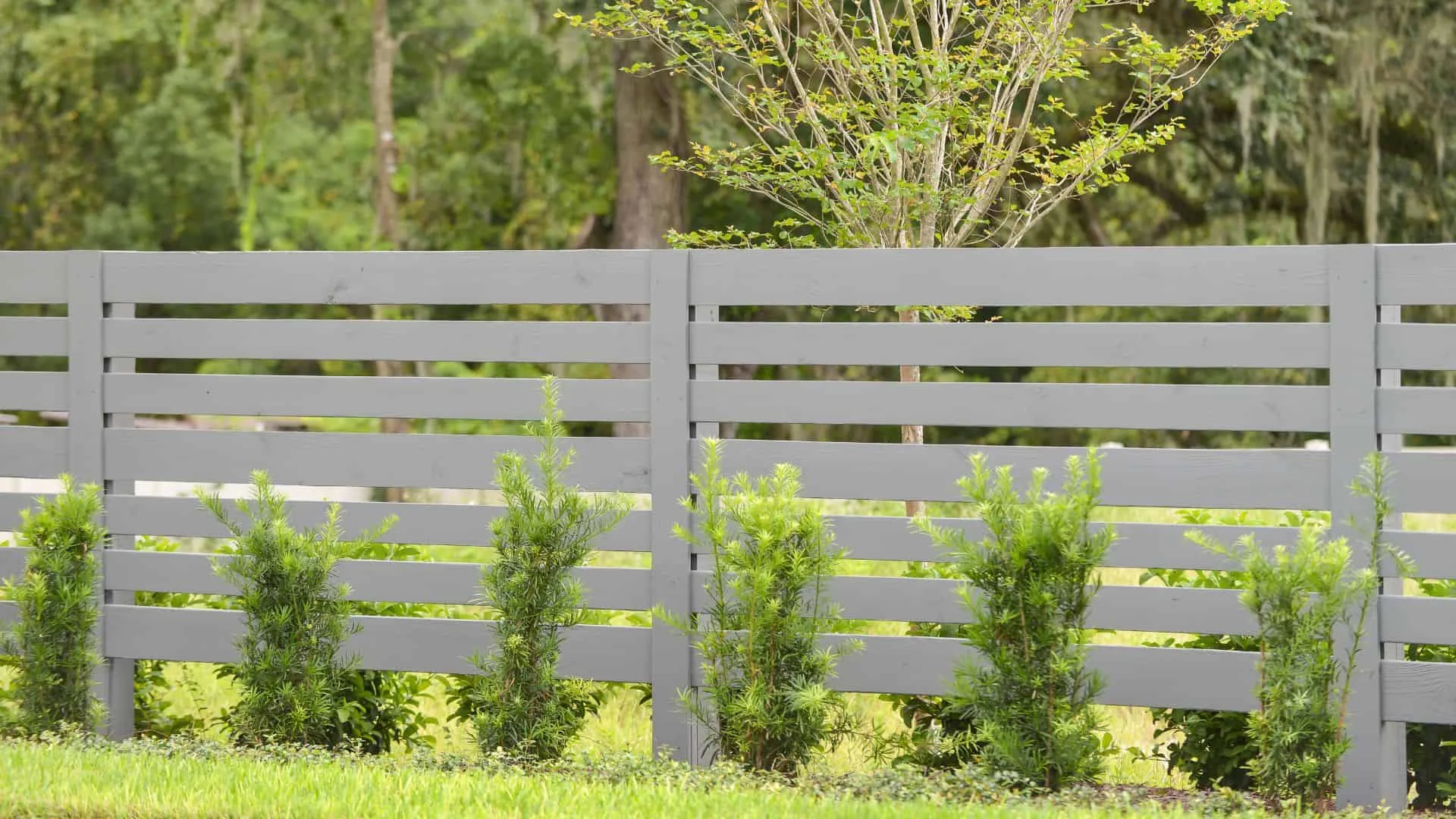 modern wood fence color ideas
