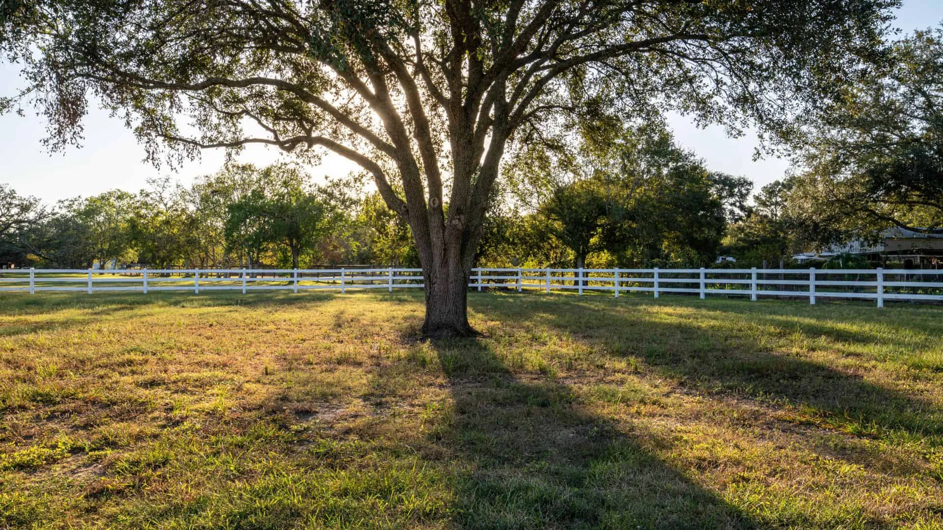 Superior Fence &#038; Rail Is Has The Ranch Style Fence You Want And We Aren’t Horsin’ Around!