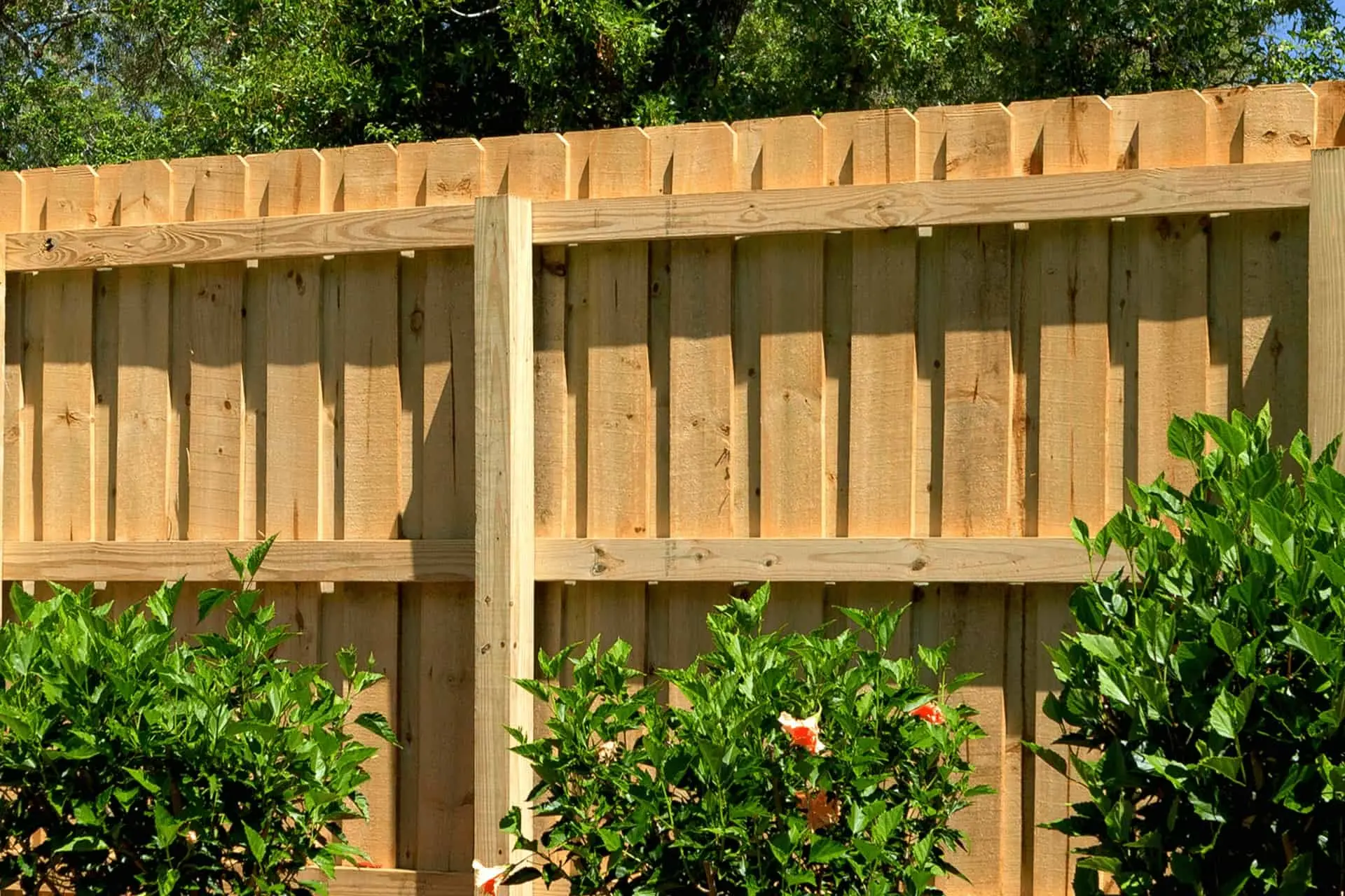 Wood Fencing Gallery