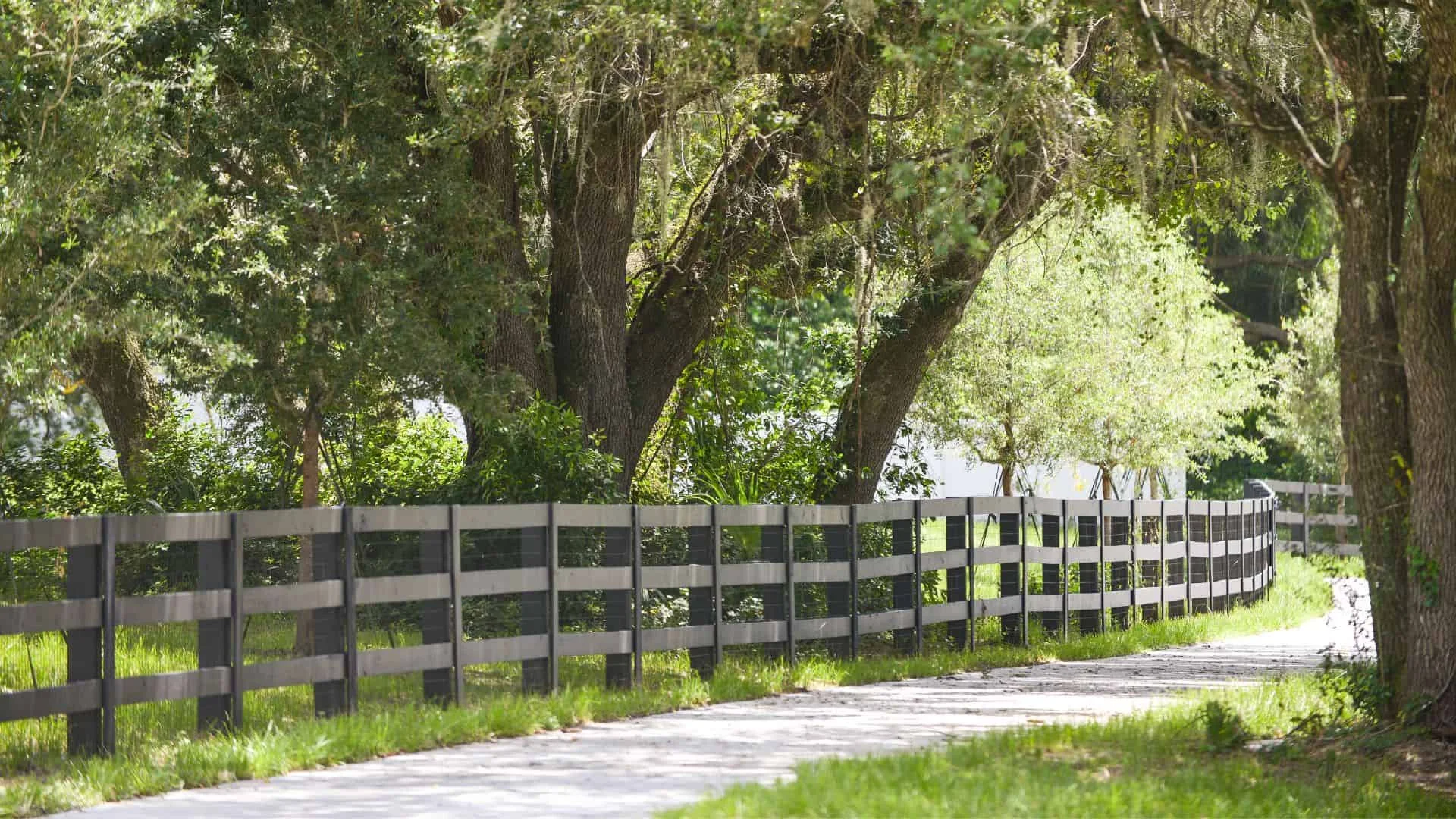 Painting A Fence? Everything You Need To Know About Prolonging The Life Of Your Superior Wooden Fence