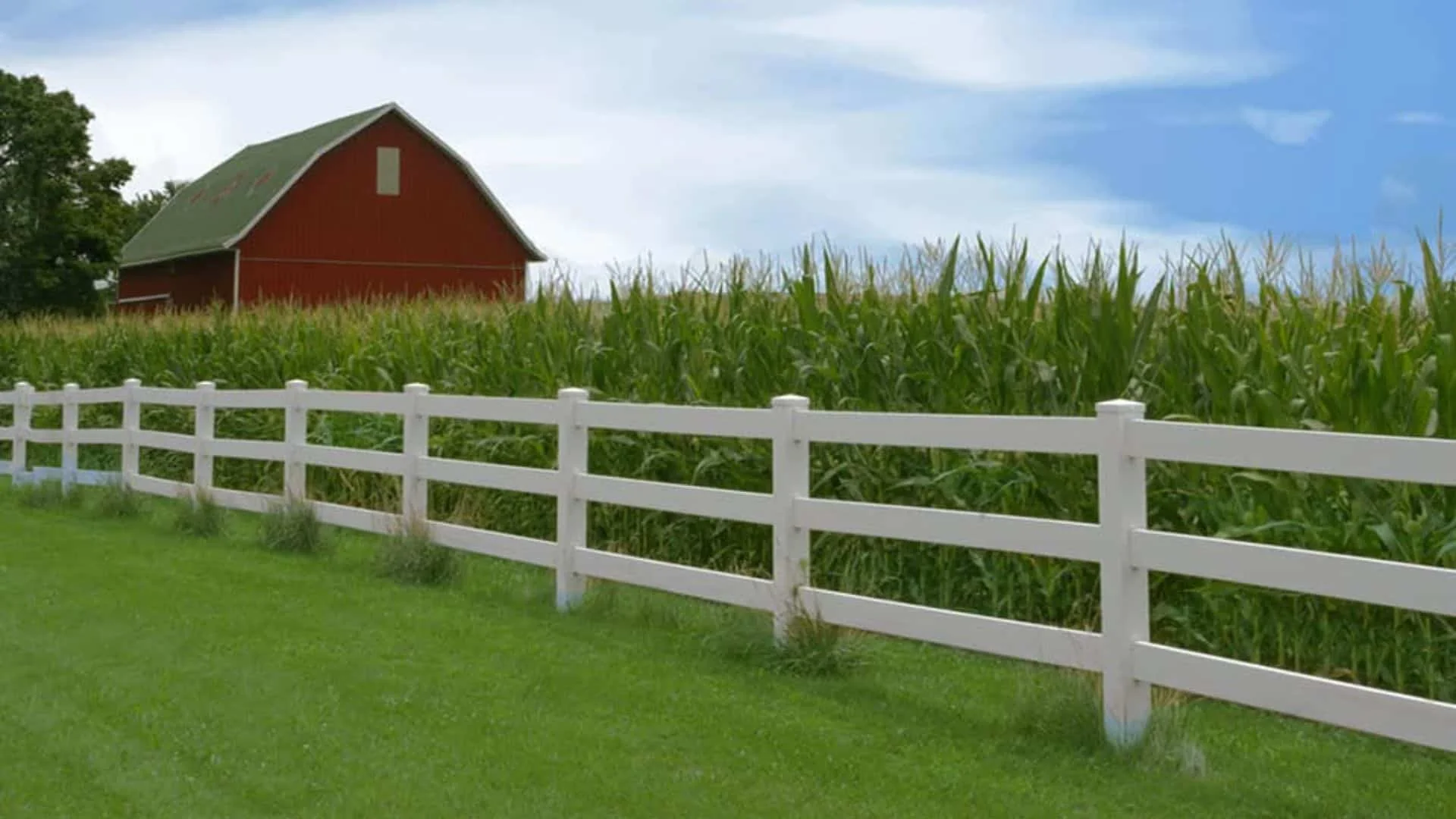 Superior Fence &#038; Rail Offers Safe Alternatives To Barbed Wire Fencing