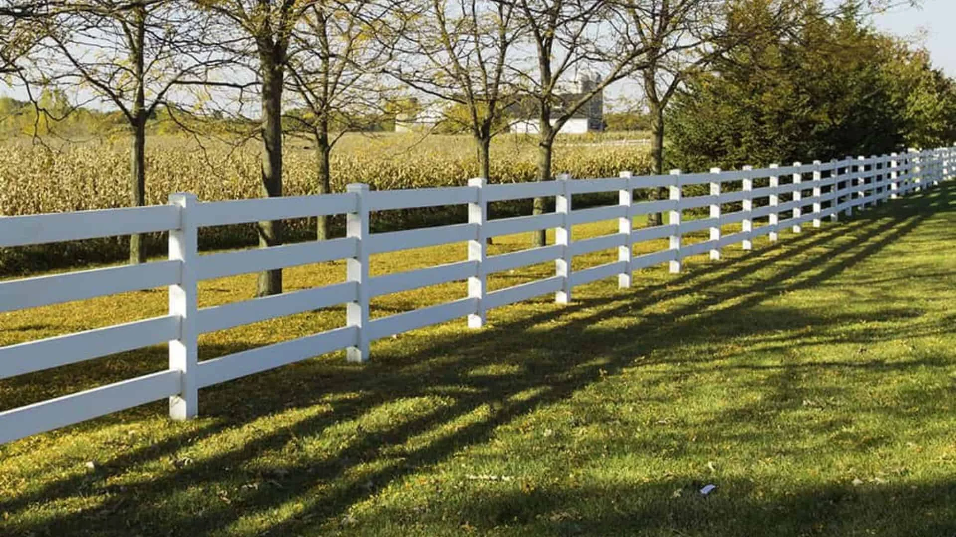 kentucky 4 board fence options
