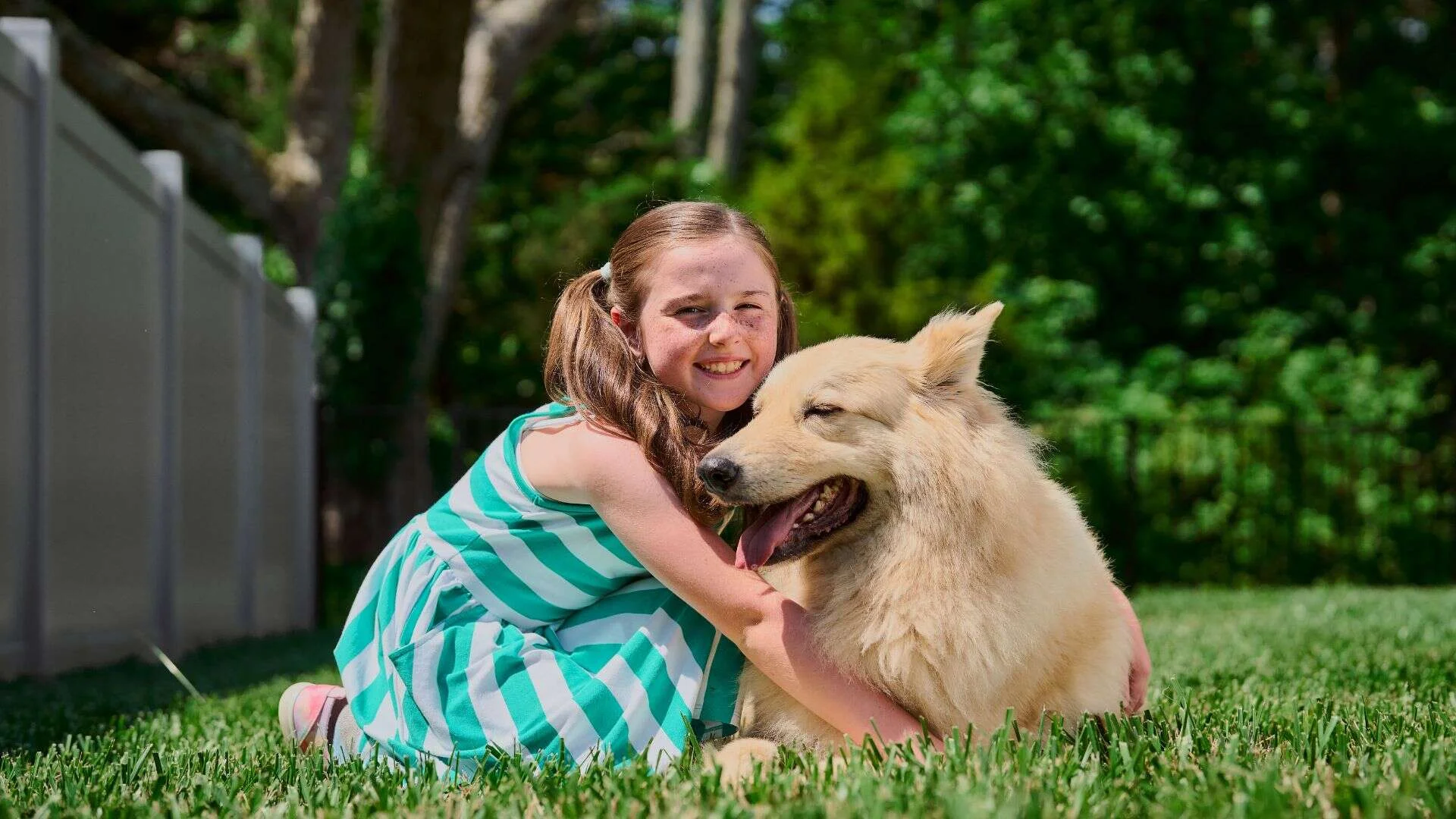 fence ideas for you and your pets