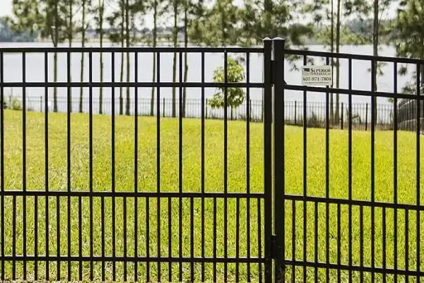Dog Fence Types