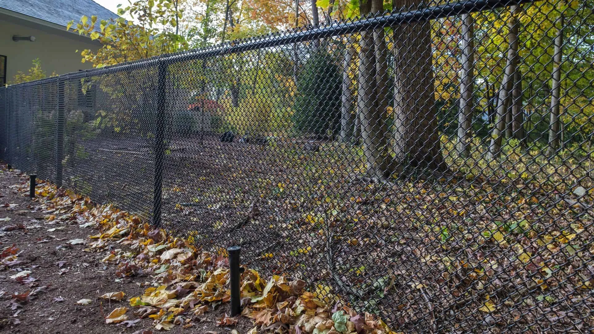 The Best Looking Chain Link Fences In Springfield MO