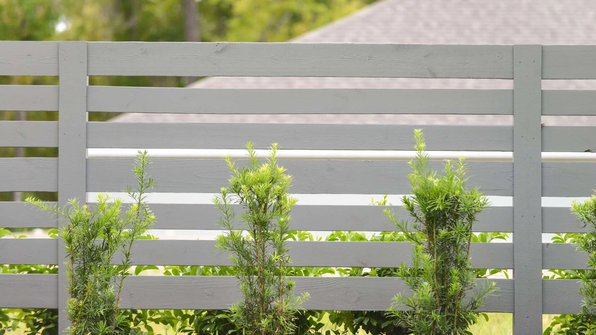 Bold Colors And Smart Features From The Best Fence Contractor Newtown