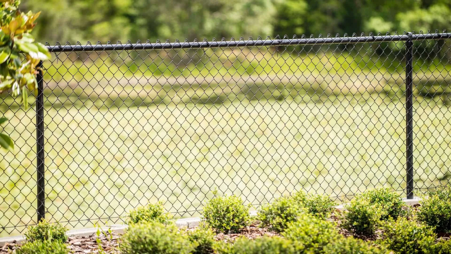 What Does A Frost Fence Cost? What Is A Frost Fence?