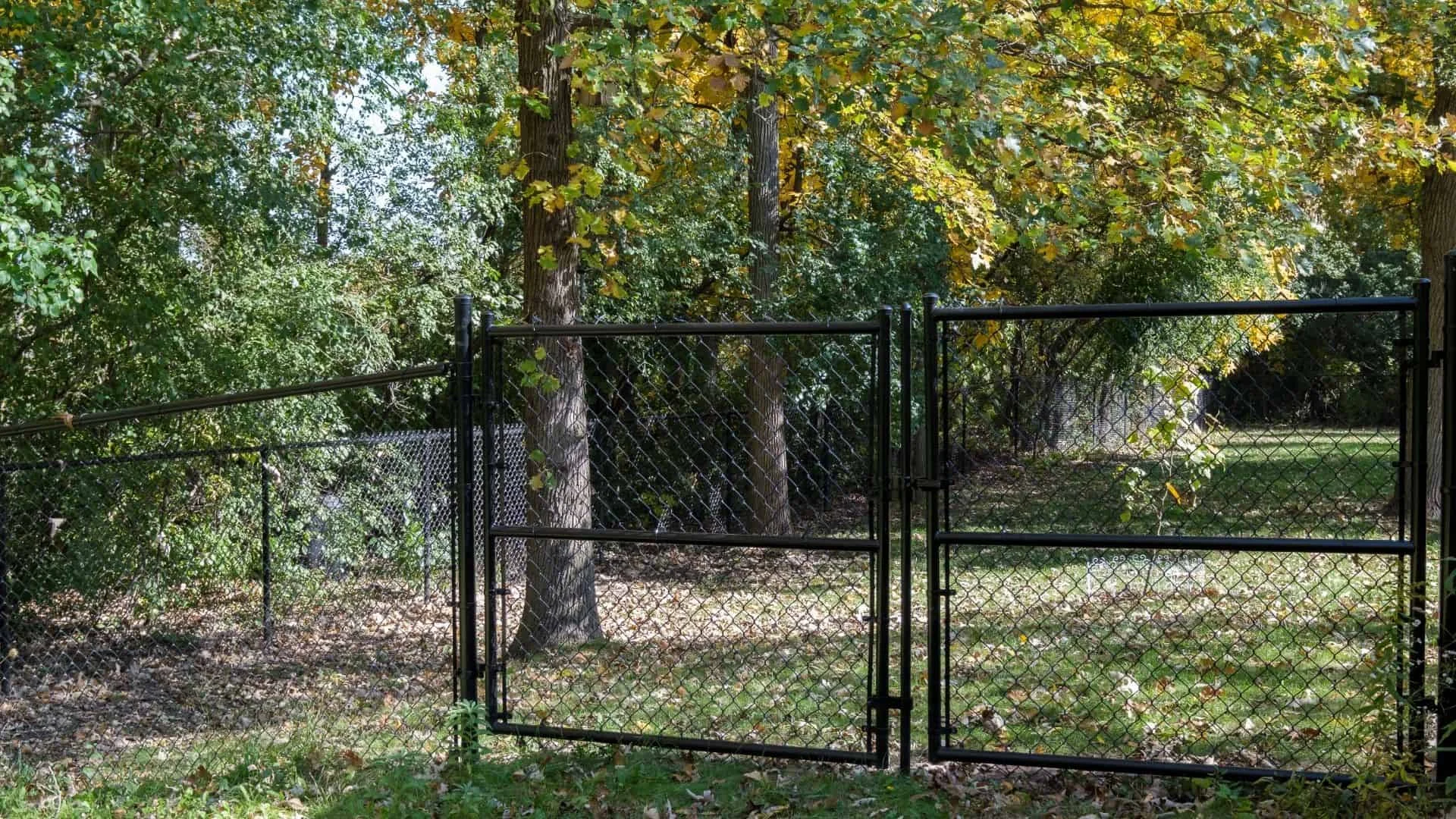 Deer Trouble? Fence Companies in Warwick, RI Have You Covered