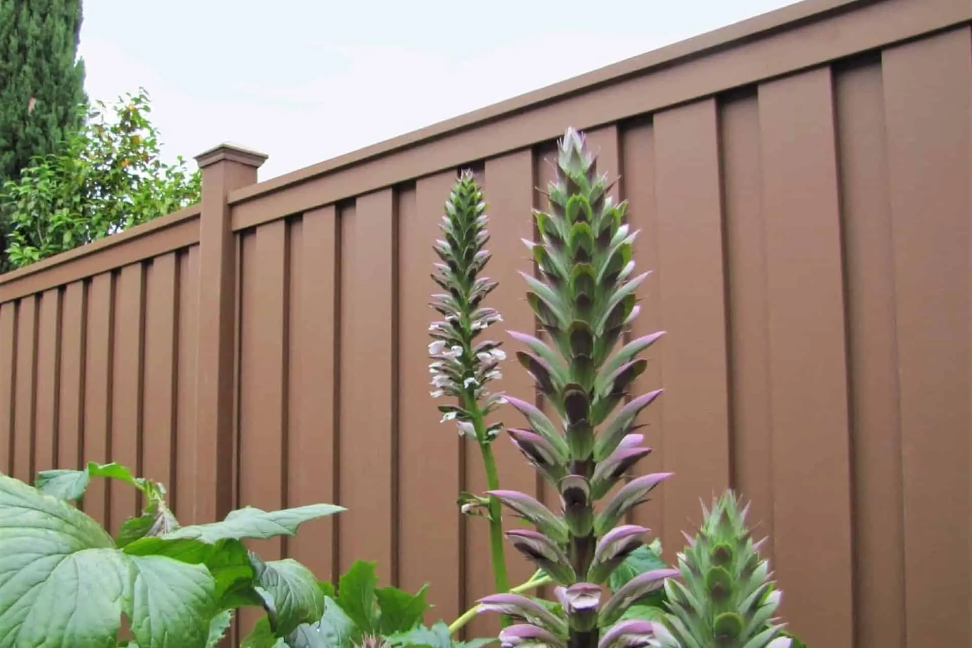 Timnath Fence Company