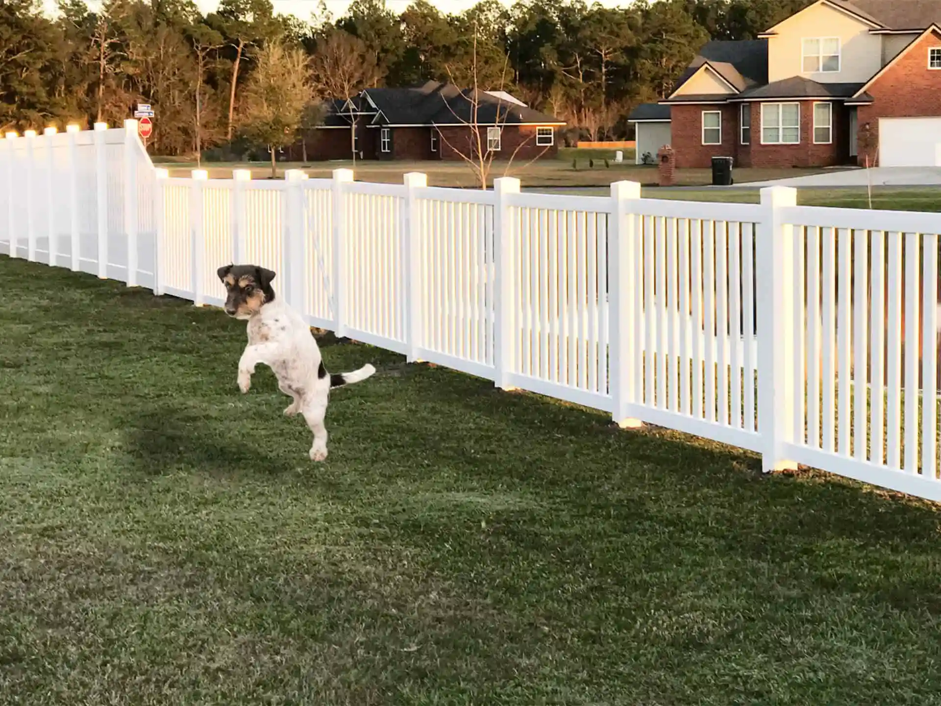 Aventura Fence Company