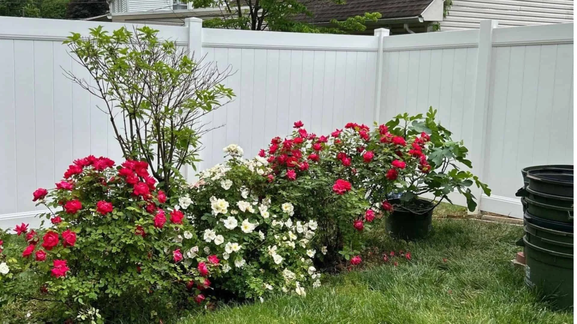 Your South Jersey Vinyl Fence Headquarters Is Superior Fence & Rail