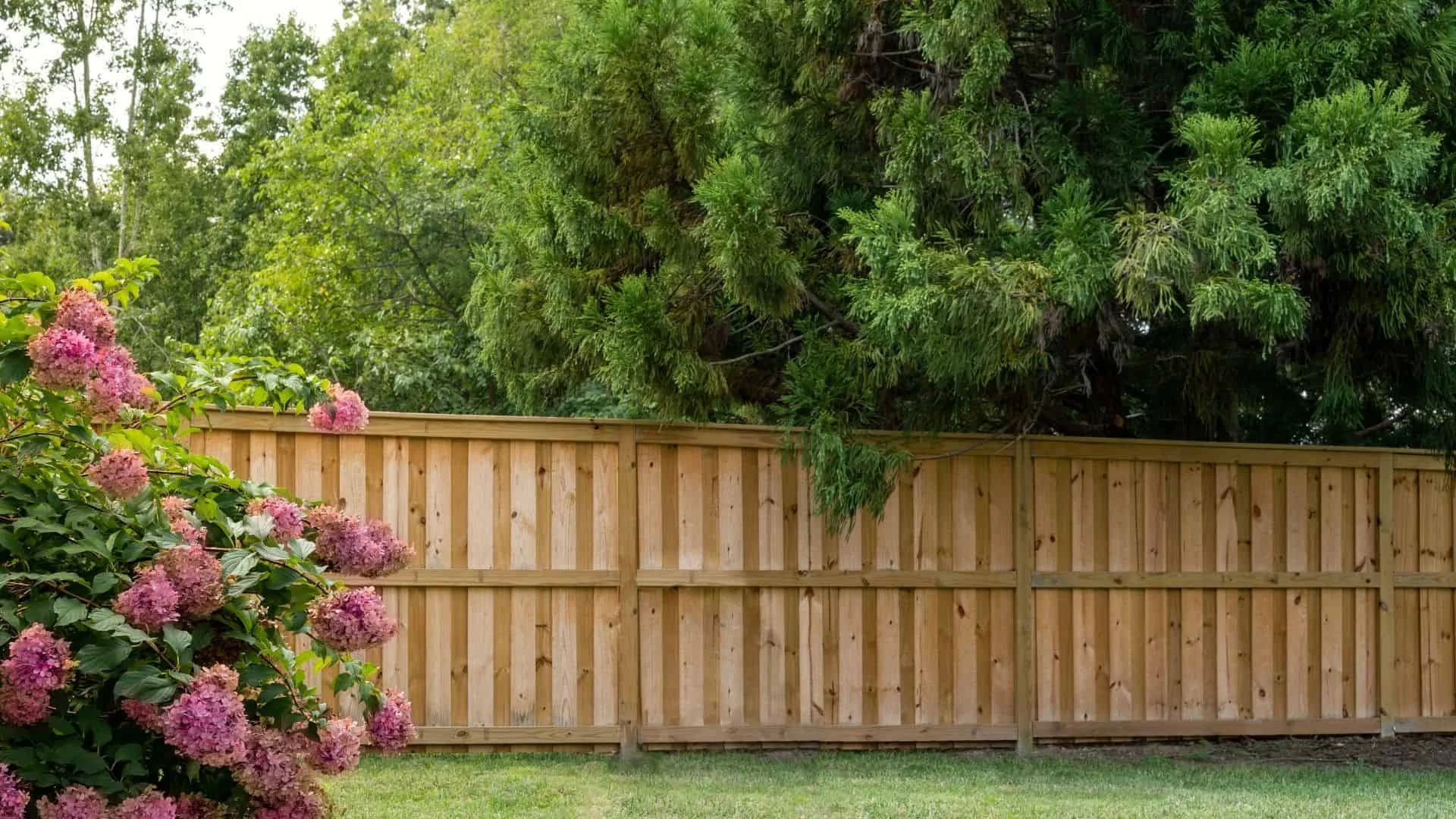 From Dull to Dreamy: Fence Company Denver Homeowners Choose
