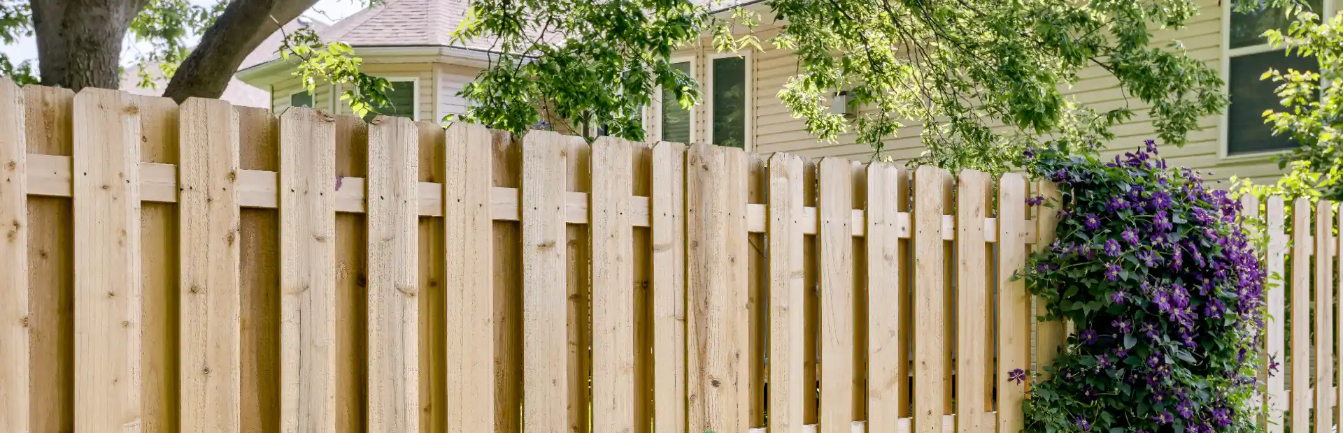 Texas Wood Fence
