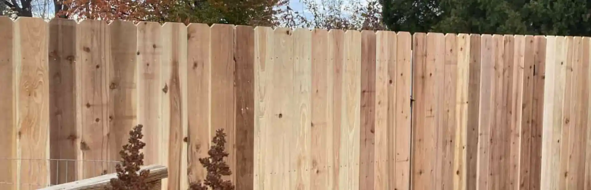 Cedar Fencing