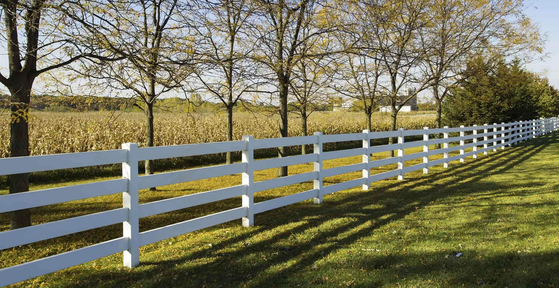 Buckley Fence