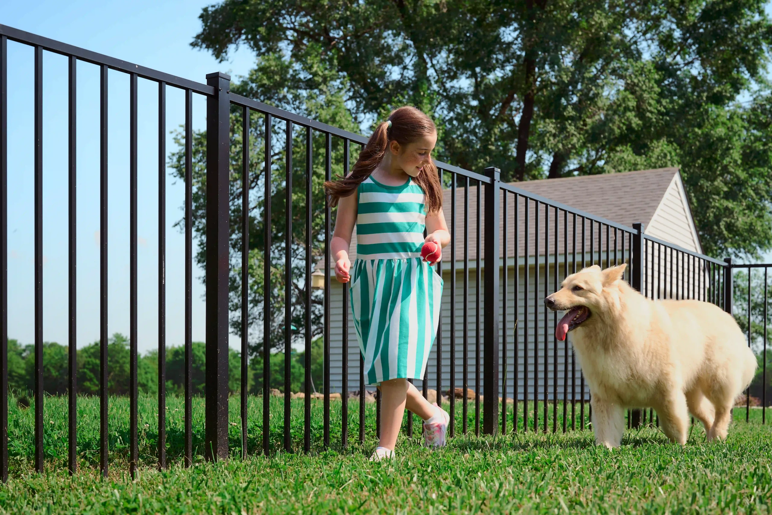 Superior Aluminum Dog Fence
