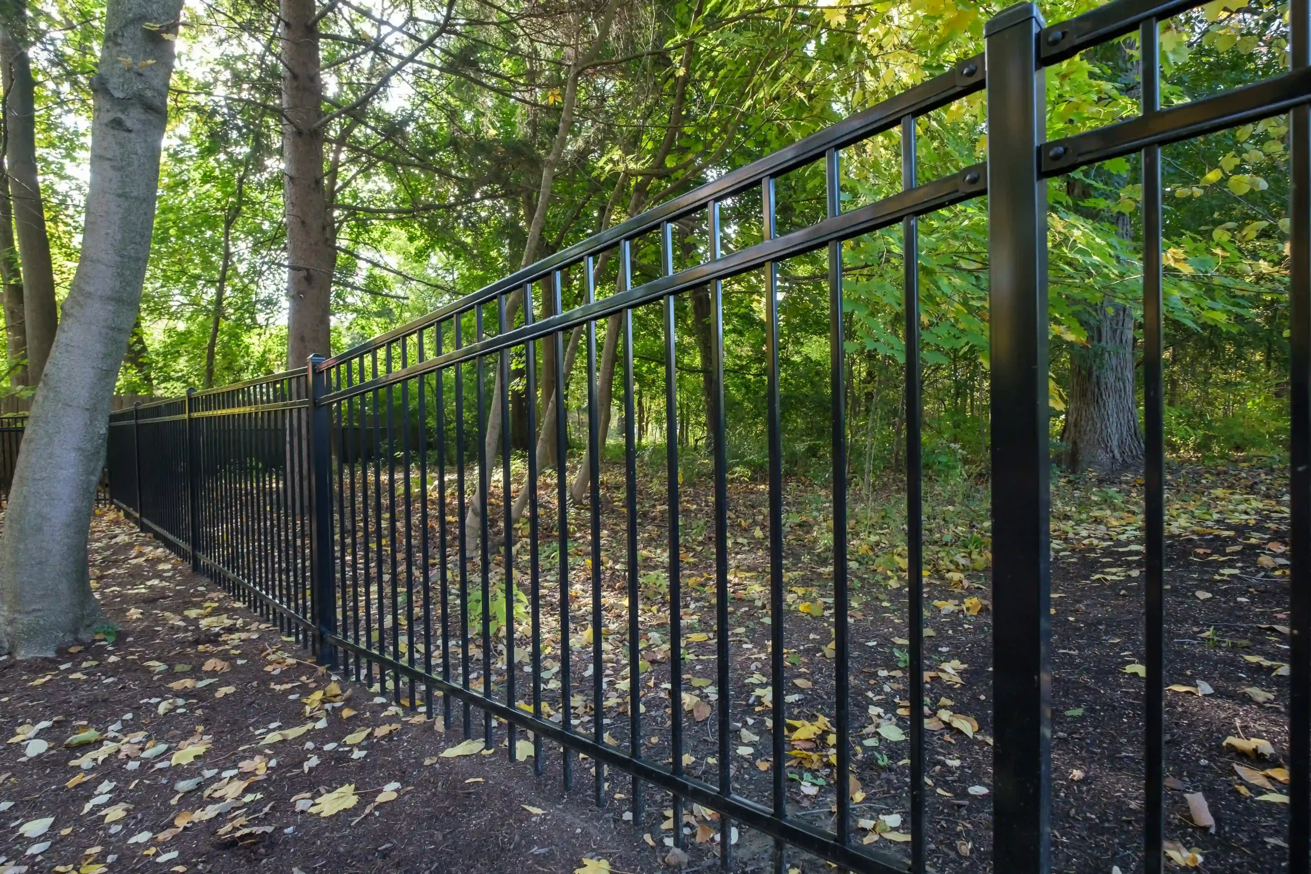 Wrought Iron Fence or Steel Fence
