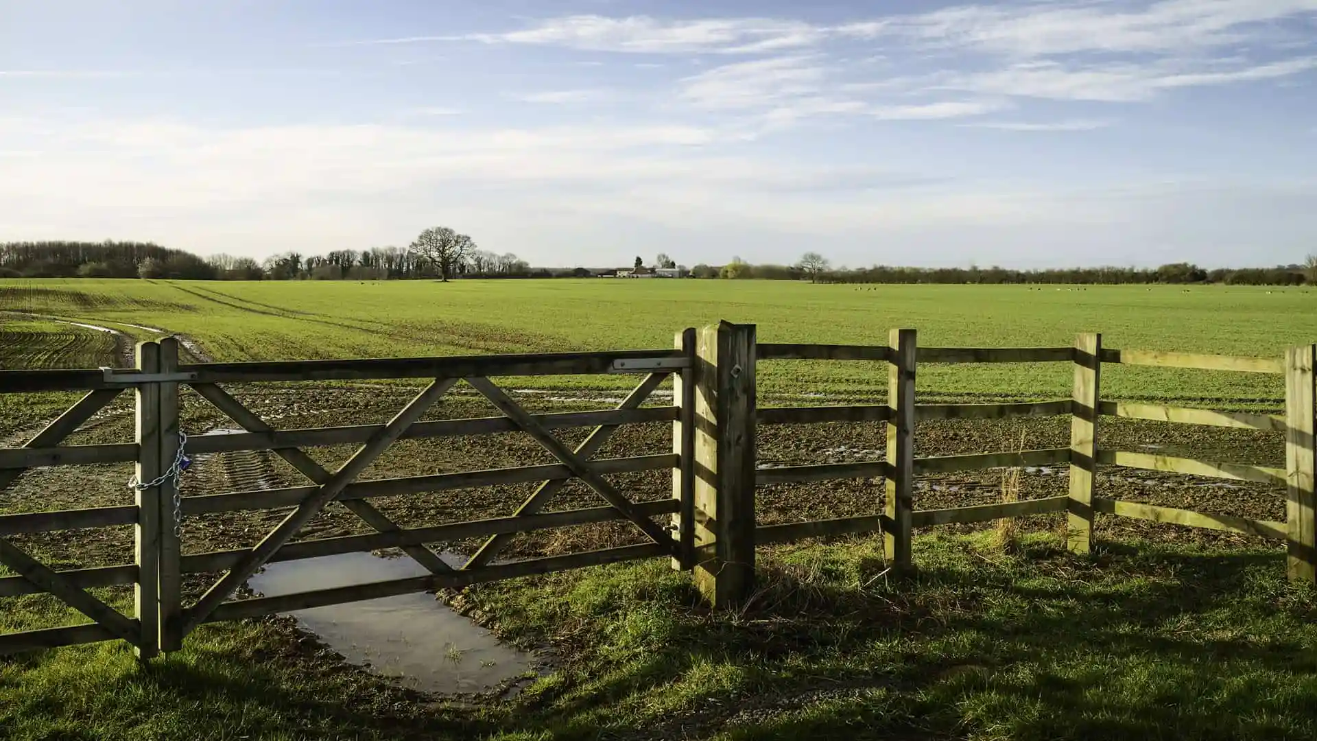 Wooden Agricultural Fence Tips