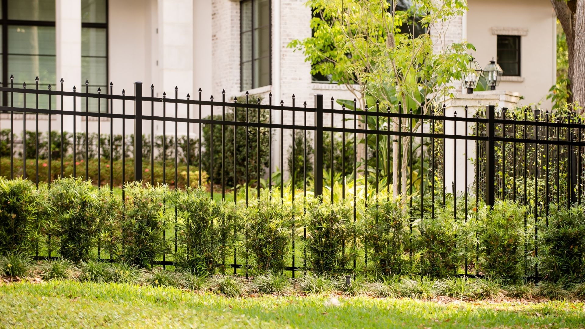 fence company near me