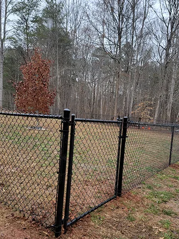 4ft Black Chain Link Pink Plyer Rd Lancaster, SC 29720 022025