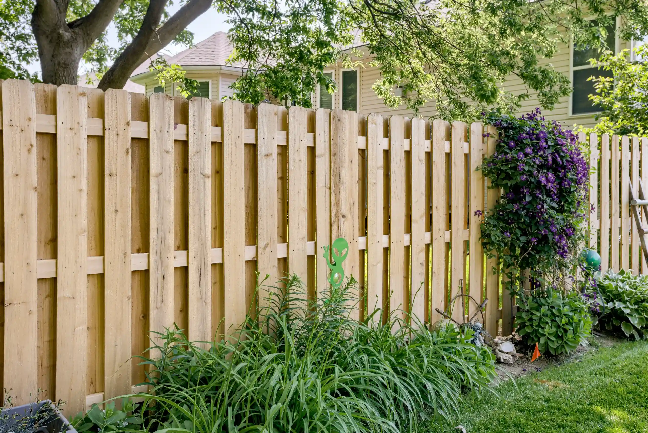 Side Yards