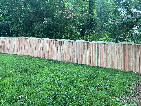 Cedar Wood Fence