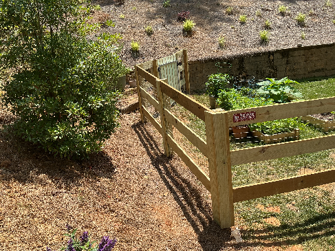 Natural Wood Fence
