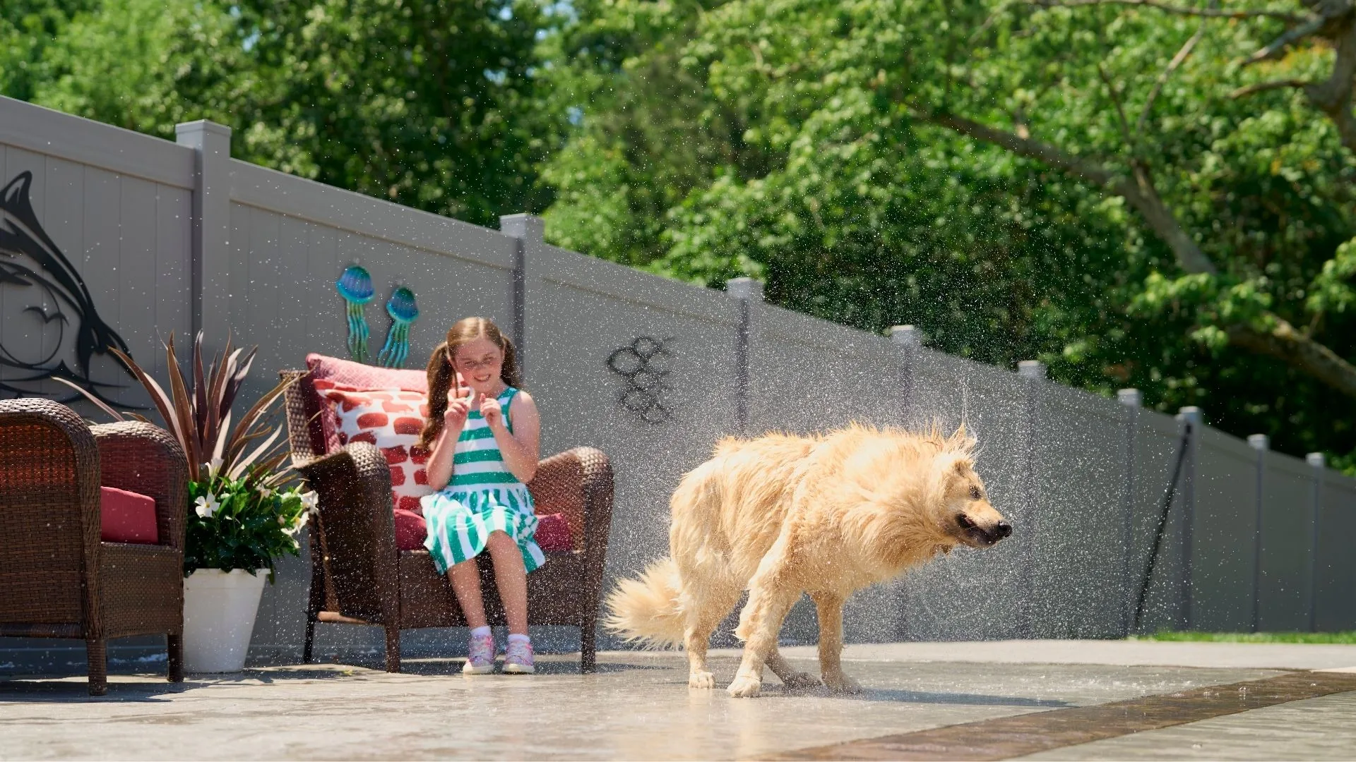 best fence for dogs fishers Indiana