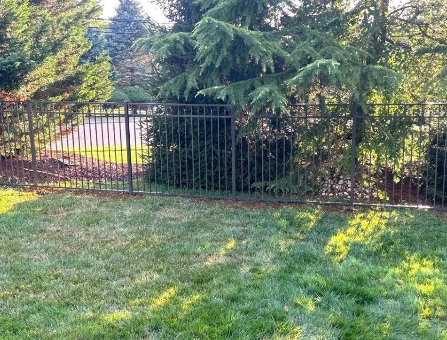 Black Aluminum Fence