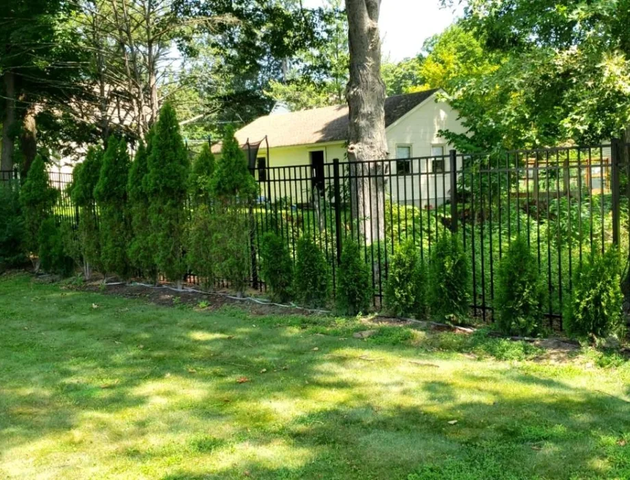 Black Aluminum Fence