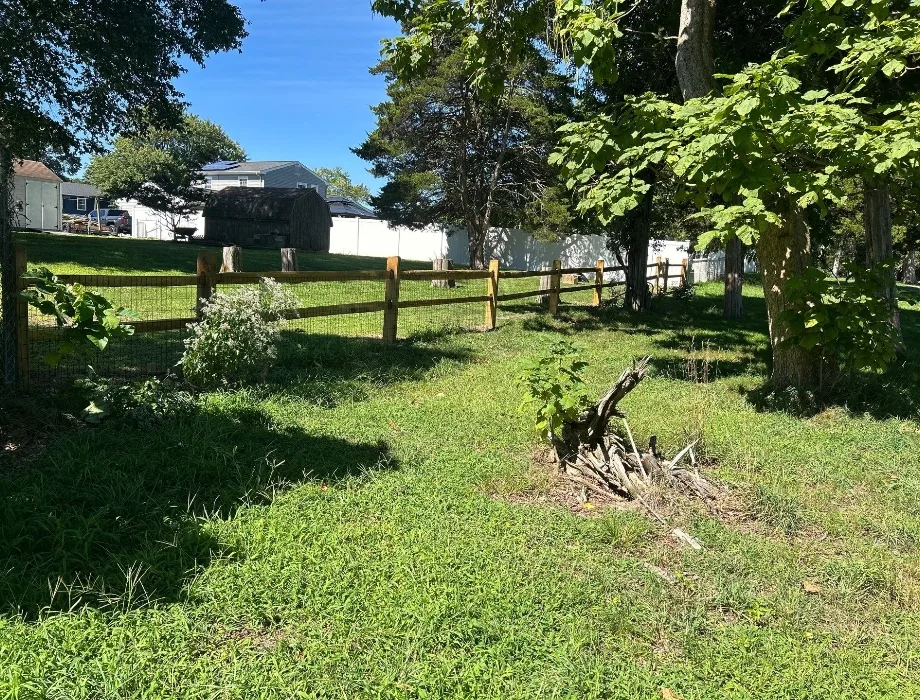 3'H - 2-Rail - Split Rail - PT Post & Rail with Welded Wire