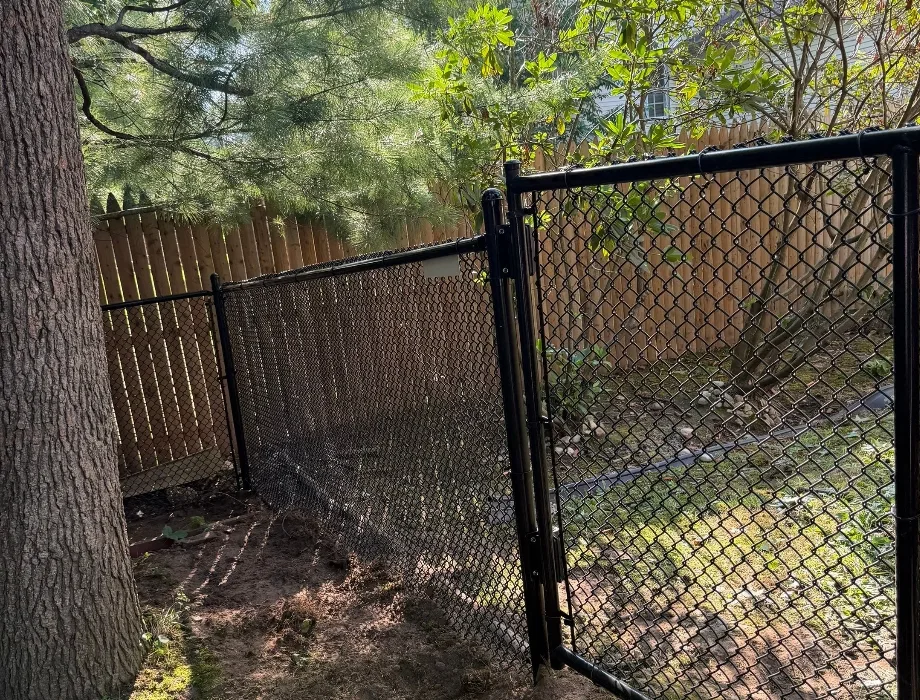 Black Chain Link Fence