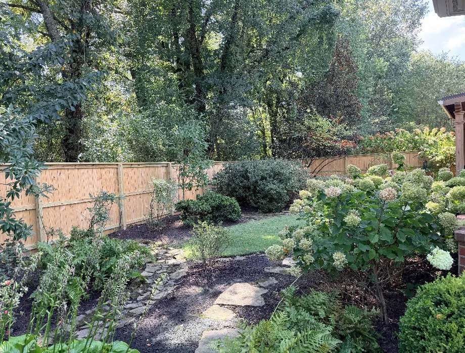 Cedar Wood Fence