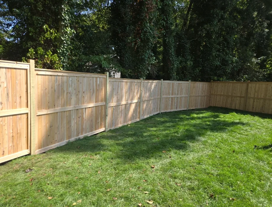 Cedar Fence