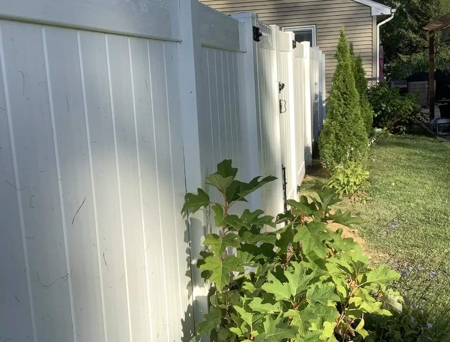 6'H White Hamilton 8' OC White Vinyl Fence