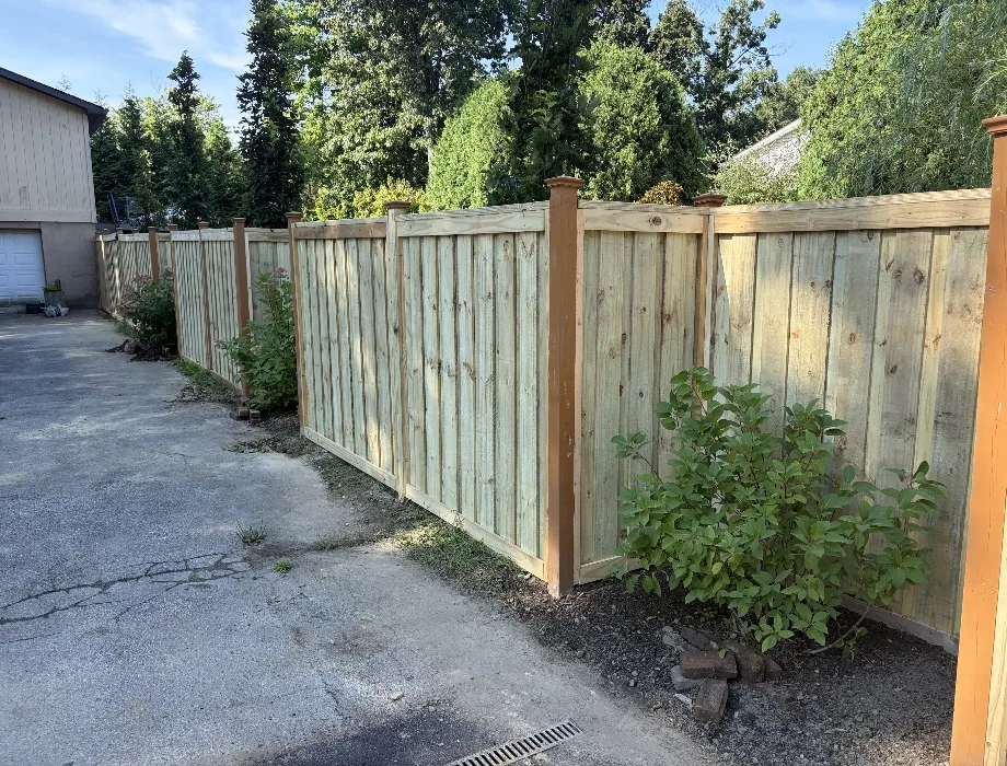 Natural Wood Fence