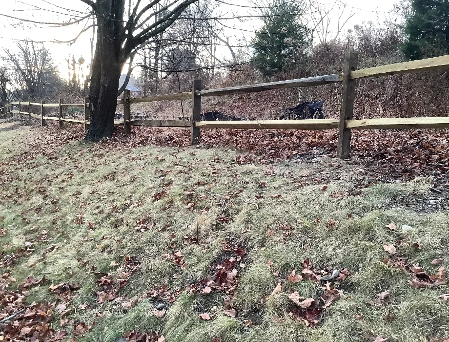Natural Wood Fence