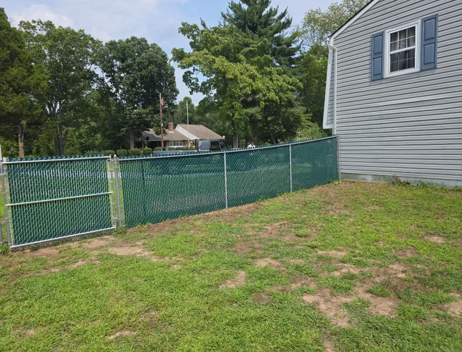 Galvanized Chain Link Fence