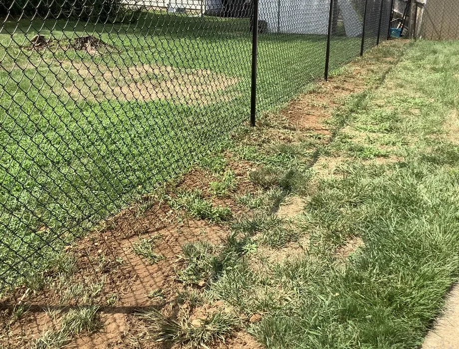 Black Chain Link Fence
