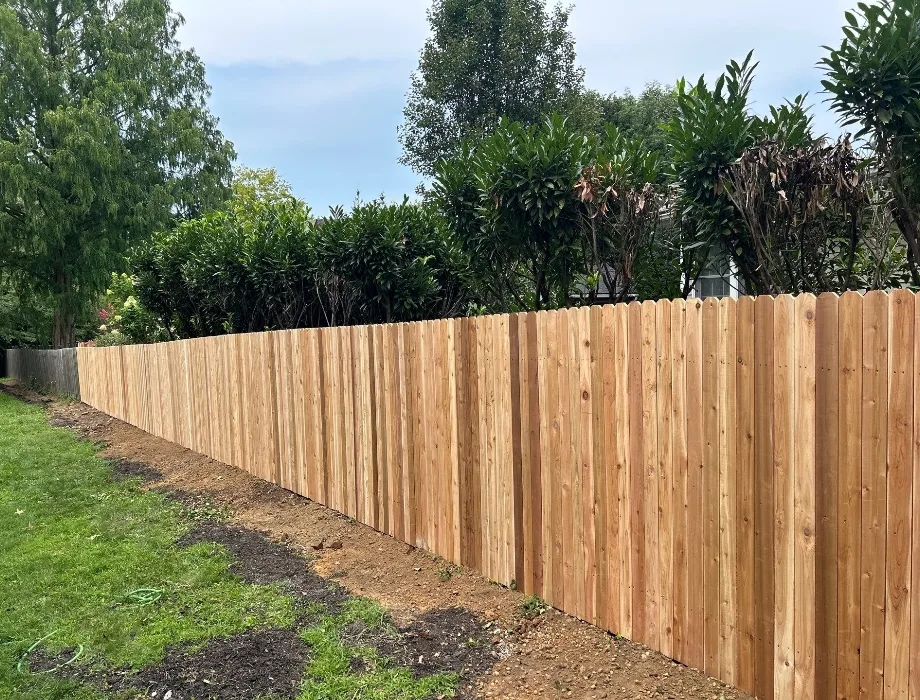 Cedar Fence