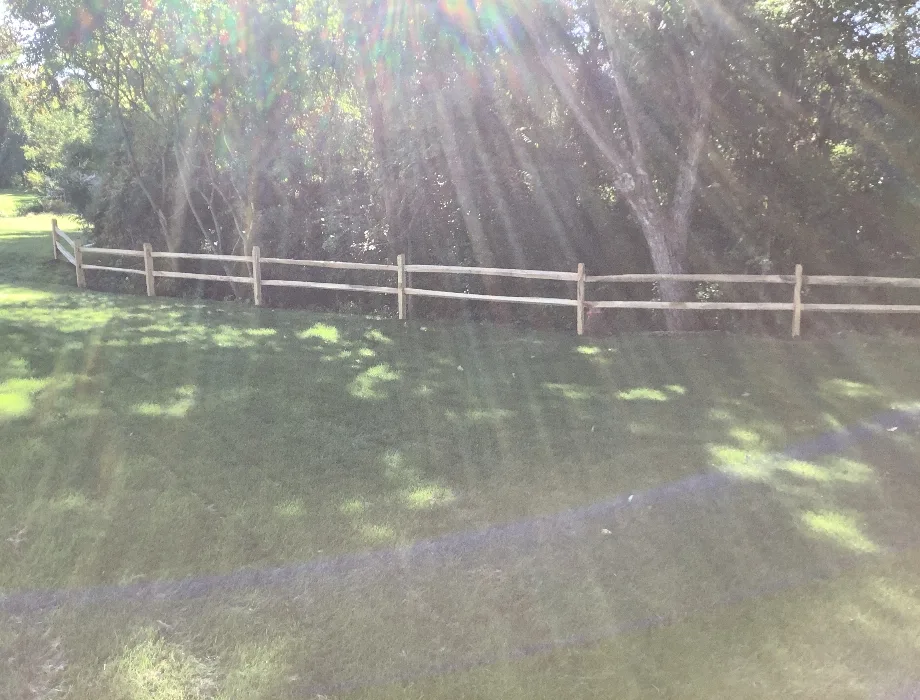Natural Wood Fence