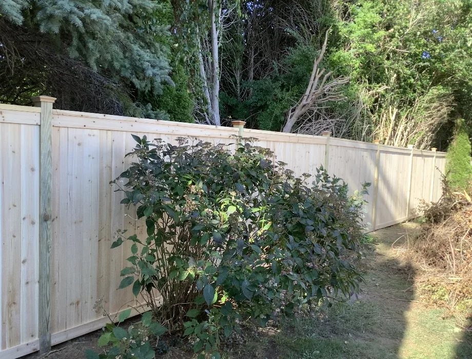 Natural Wood Fence