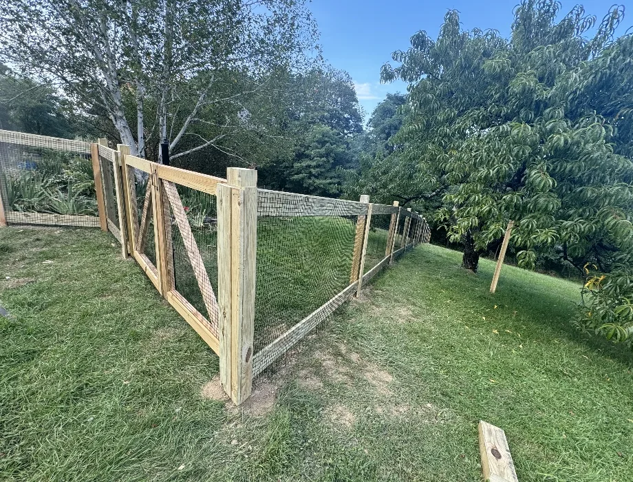 Natural Wood Fence