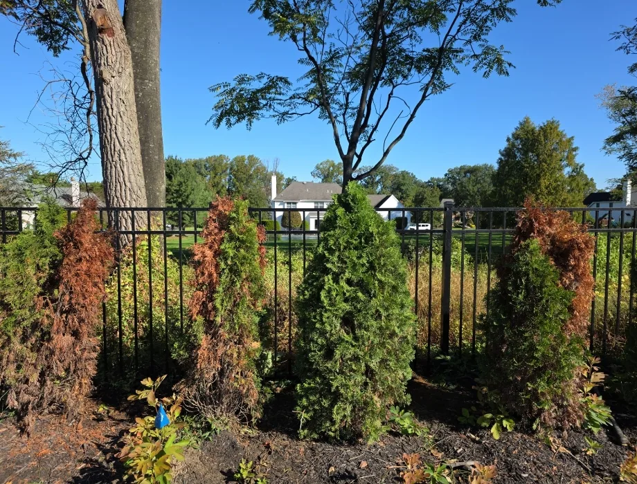 Black Aluminum Fence
