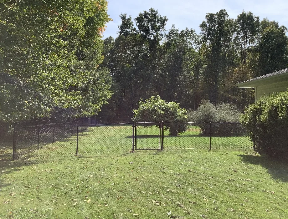 Black Chain Link Fence