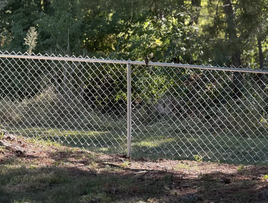 Galvanized Chain Link Fence