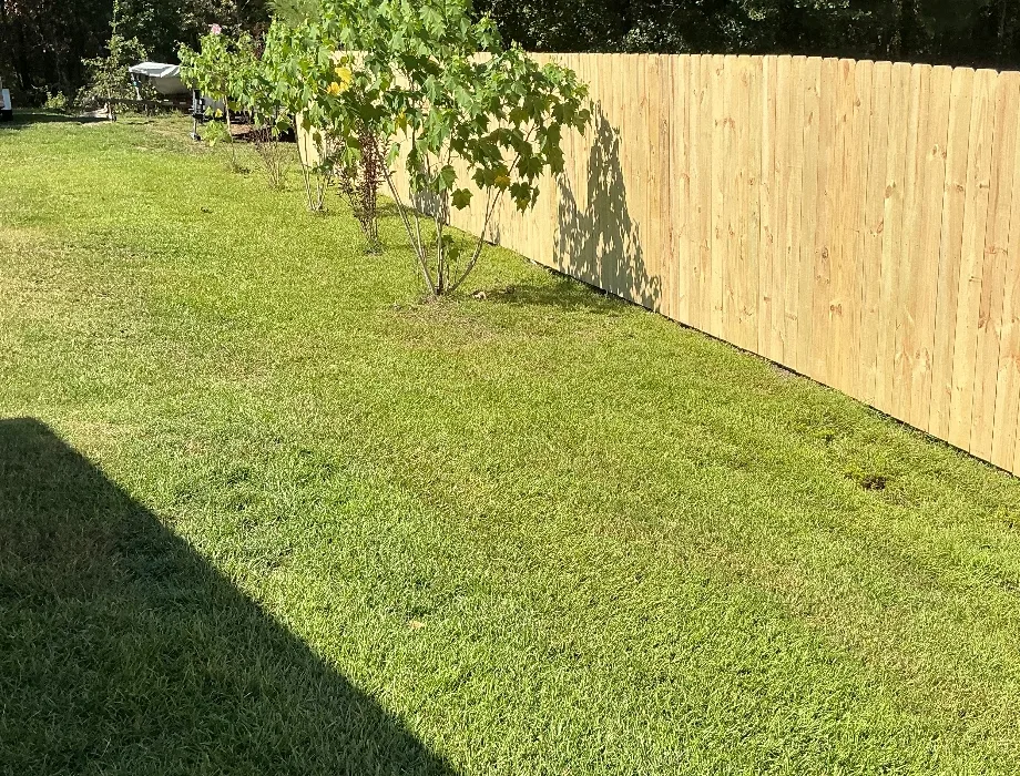 6'H Stockade Natural Wood Fence