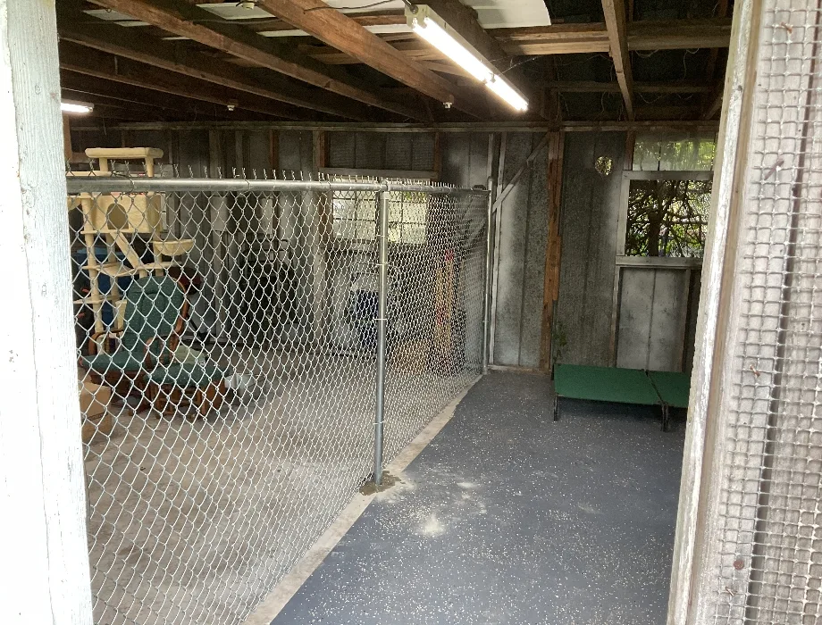 6'H Residential Galvanized Chain-Link Galvanized Chain Link Fence