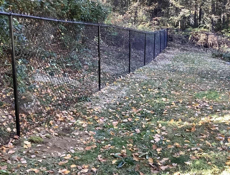 5'H Residential Black Vinyl Coated Chain-Link Black Chain Link Fence